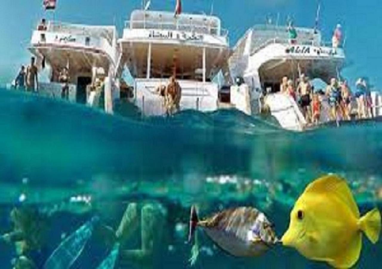 Joynant-Gouna Kite Road-2Room Mangroovy Free Beach Access - Pool View- Hurghada Exteriör bild